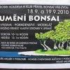 Výstava bonsají ve Velkém Meziříčí - (příprava pá 17.), 18., 19.9. 2010