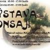 Výstava bonsají v Ivančicích - 10. a 11. 6. 2011
