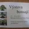 Výstava bonsají v knihovně ve Velké Bíteši
