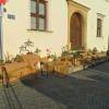 Výstava bonsají ve Vídni a Ivančicích - kolem sv. Václava - 25. až 29. září 2013