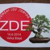Bonsai Cup Junior Velká Bíteš, výběr - 14. června 2014
